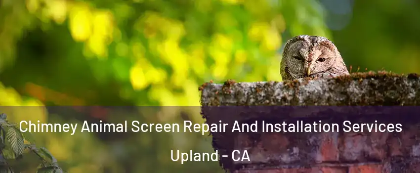  Chimney Animal Screen Repair And Installation Services Upland - CA