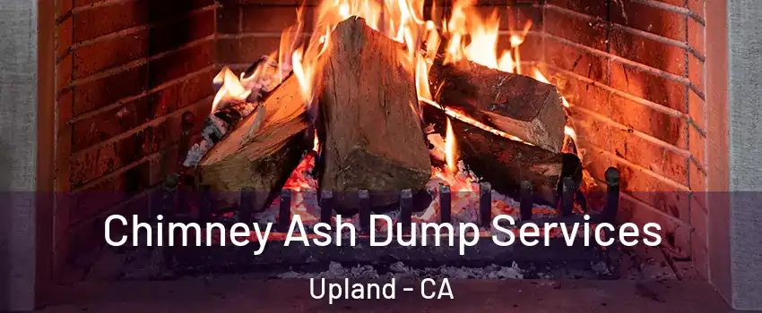 Chimney Ash Dump Services Upland - CA