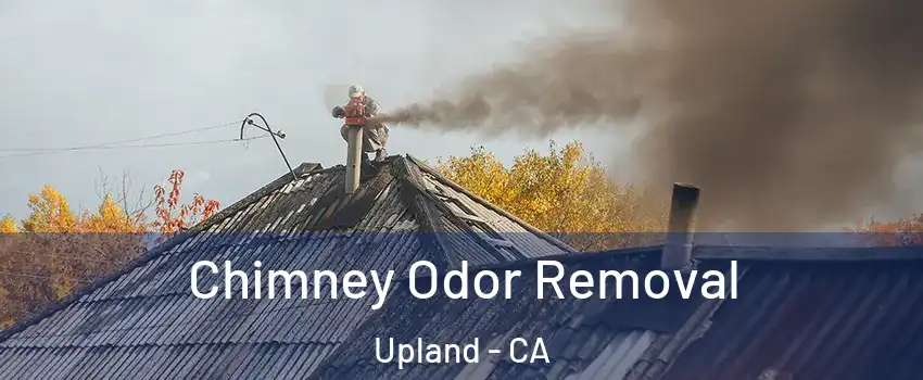  Chimney Odor Removal Upland - CA
