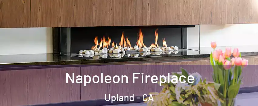  Napoleon Fireplace Upland - CA