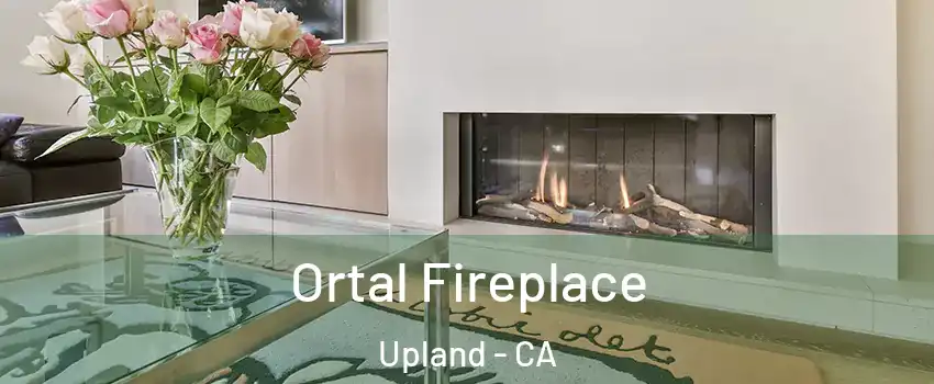  Ortal Fireplace Upland - CA